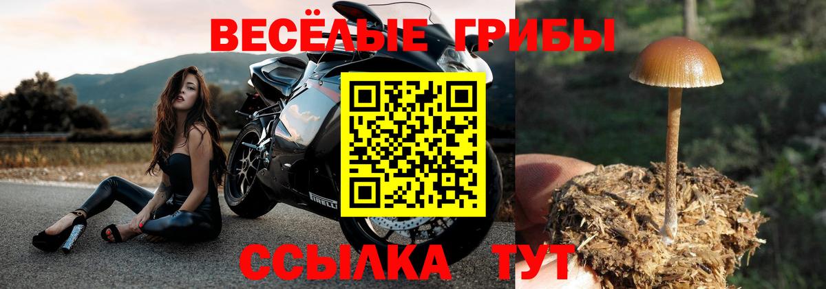 Галлюциногенные грибы ЛСД Уссурийск