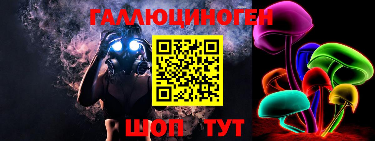 Галлюциногенные грибы GOLDEN TEACHER  Вход с VPN  Галлюциногенные грибы GOLDEN TEACHER  Уссурийск 